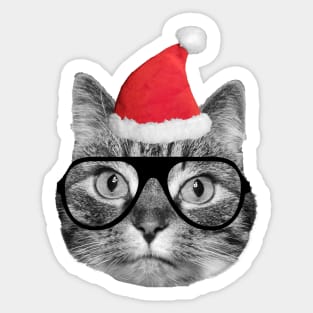 Cute fluffy tabby cat celebrating Christmas Eve Sticker